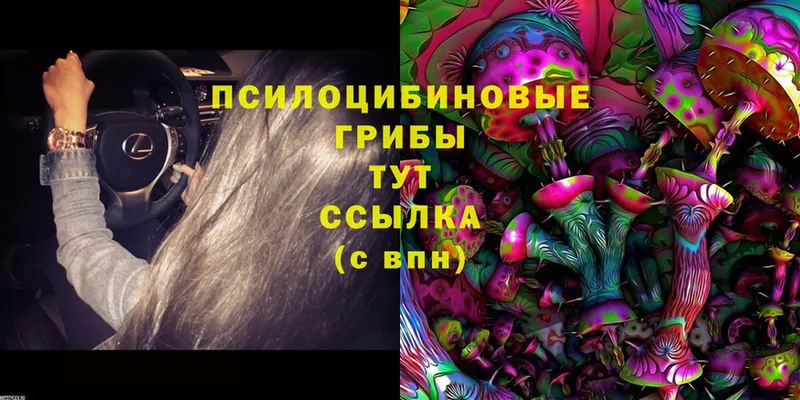 Галлюциногенные грибы MAGIC MUSHROOMS  Асино 